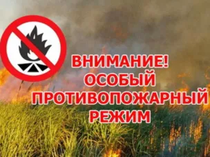 Об установлении на территории Нижегородской области особого противопожарного режима