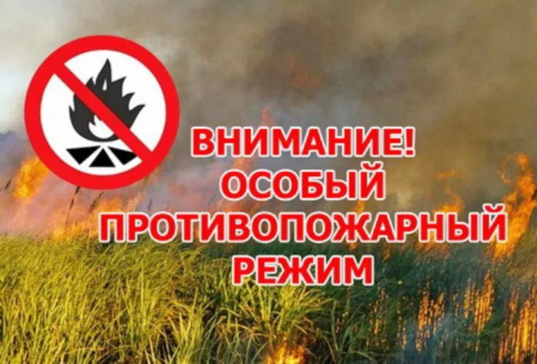 Об установлении на территории Нижегородской области особого противопожарного режима