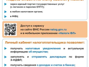 «Личный кабинет налогоплательщика для физических лиц»