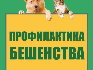 Памятка о мерах профилактики бешенства