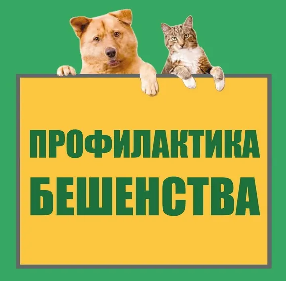 Памятка о мерах профилактики бешенства