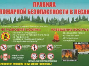 Правила пожарной безопасности при нахождении в лесных массивах