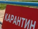 Об установлении карантина на территории с.Рожок