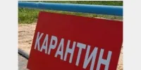 Об установлении карантина на территории с.Рожок
