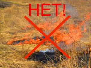 Порядок использования открытого огня и разведения костров на землях сельскохозяйственного назначения, землях запаса и землях населенных пунктов