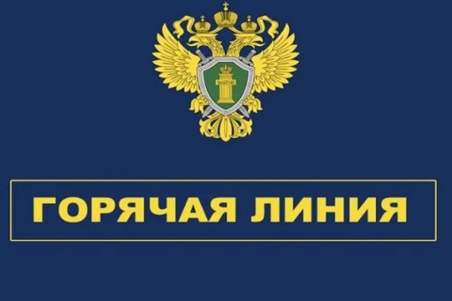 «Горячая линия» по вопросам исполнения законодательства об охране и использовании лесов