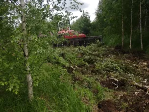 Расчистка земель сельскохозяйственного назначения правообладателями от древесно-кустарниковой и сорной растительности