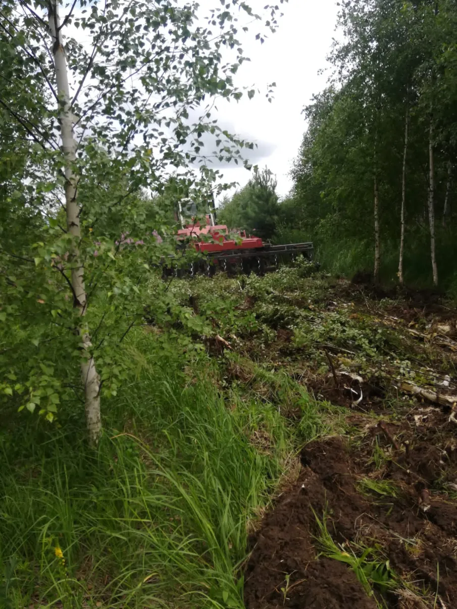 Расчистка земель сельскохозяйственного назначения правообладателями от древесно-кустарниковой и сорной растительности