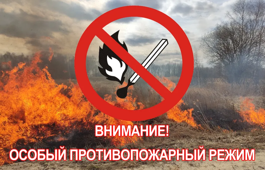 C 17 апреля 2023 года на территории Сосновского муниципального округа вводится особый противопожарный режим