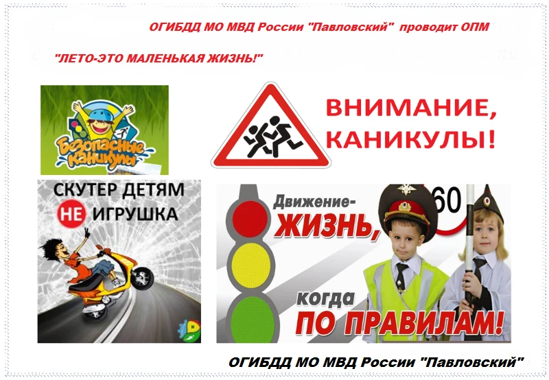 Лето – это маленькая жизнь!