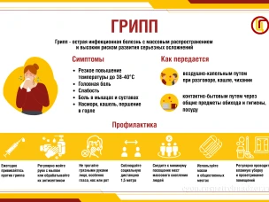Профилактика гриппа и ОРВИ