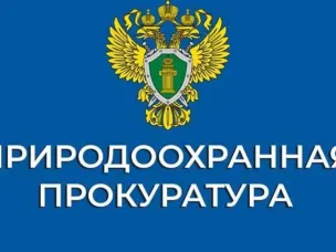 26.02.2026 года с 16.00 до 16.15 планируется проведение приема граждан и предпринимательского сообщества по вопросам, связанным с экологической обстановкой