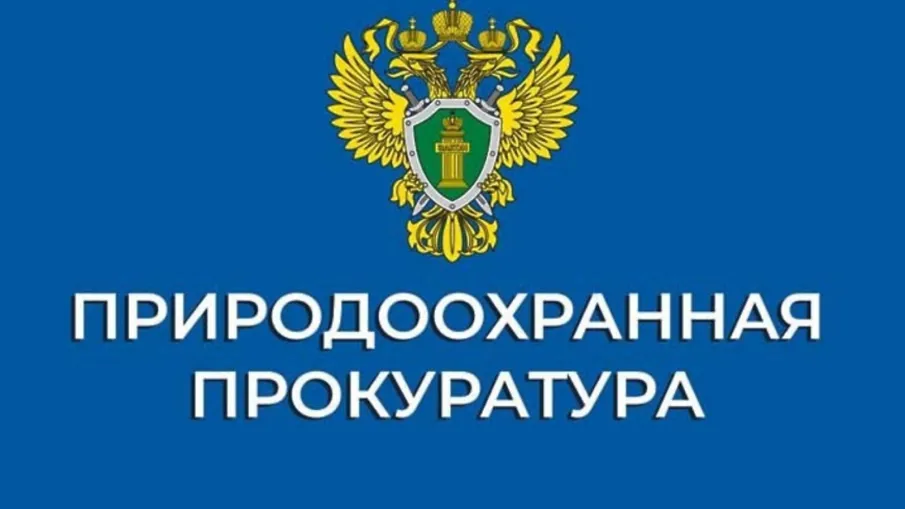 26.02.2026 года с 16.00 до 16.15 планируется проведение приема граждан и предпринимательского сообщества по вопросам, связанным с экологической обстановкой