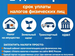 Уплатить имущественные налоги физических лиц за 2024 год необходимо в срок не позднее 1 декабря 2025 года.