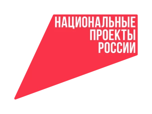 Национальные проекты региона